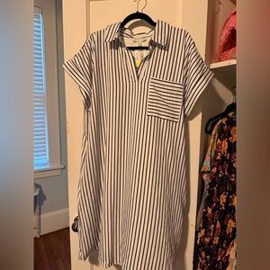 She + Sky White Dress with Black Pinstripes